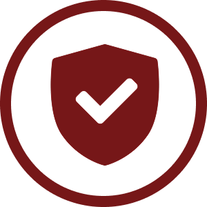 Policy Icon
